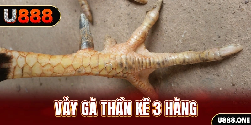 cwin06 nổ hũ đổi thưởng . ai