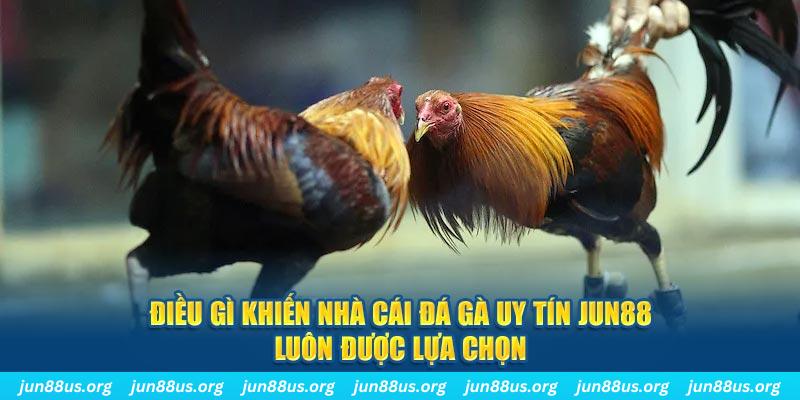 cwin06 bắn cá 30