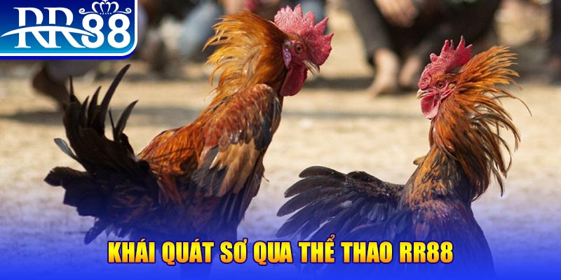 cwin06 nổ hũ là như thế nào