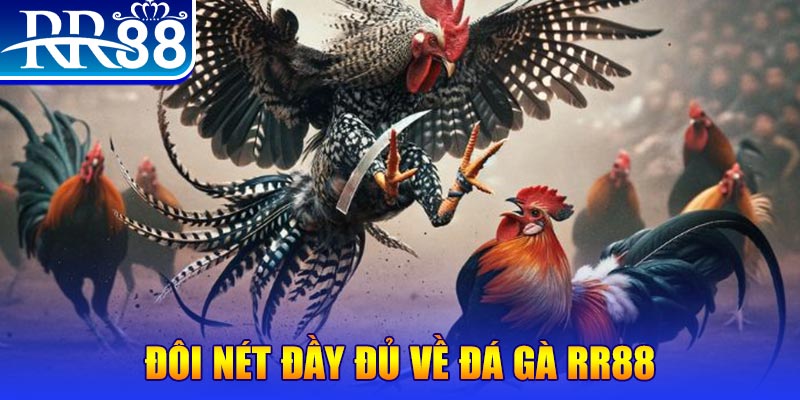 cwin06 1 slot là gì