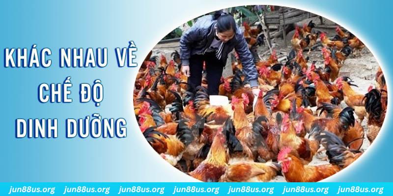 cwin06 xổ số thứ sáu hàng tuần