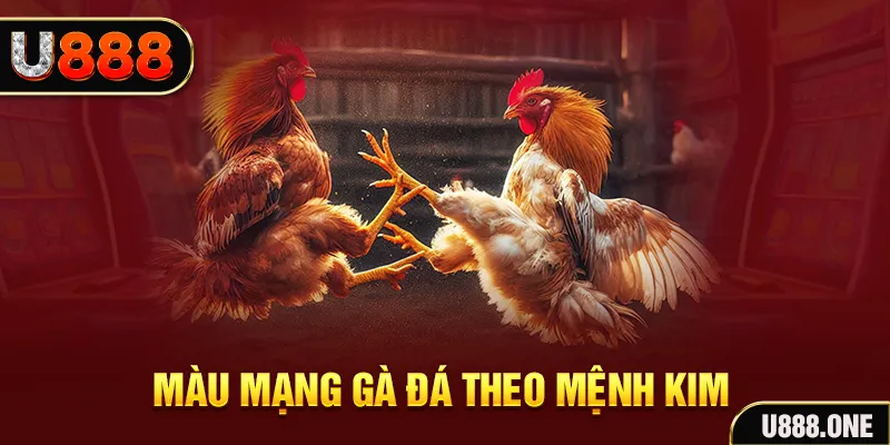 cwin06 gà chọi tiêu phong