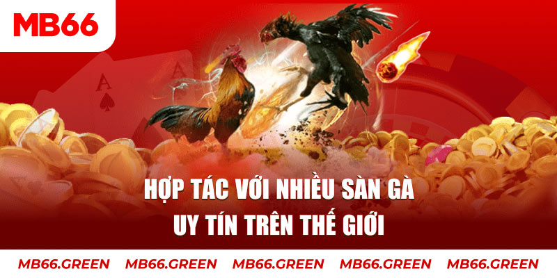 cwin06 nổ hủ chơi như thế nào