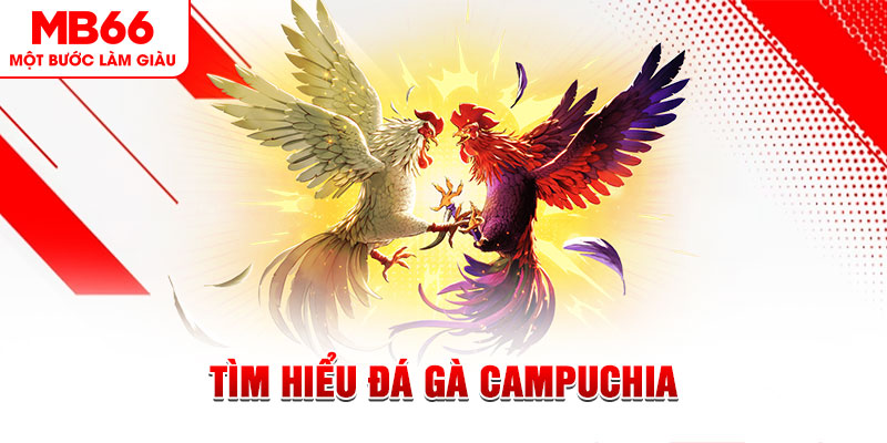 cwin06 tại sao không tải được nổ hũ