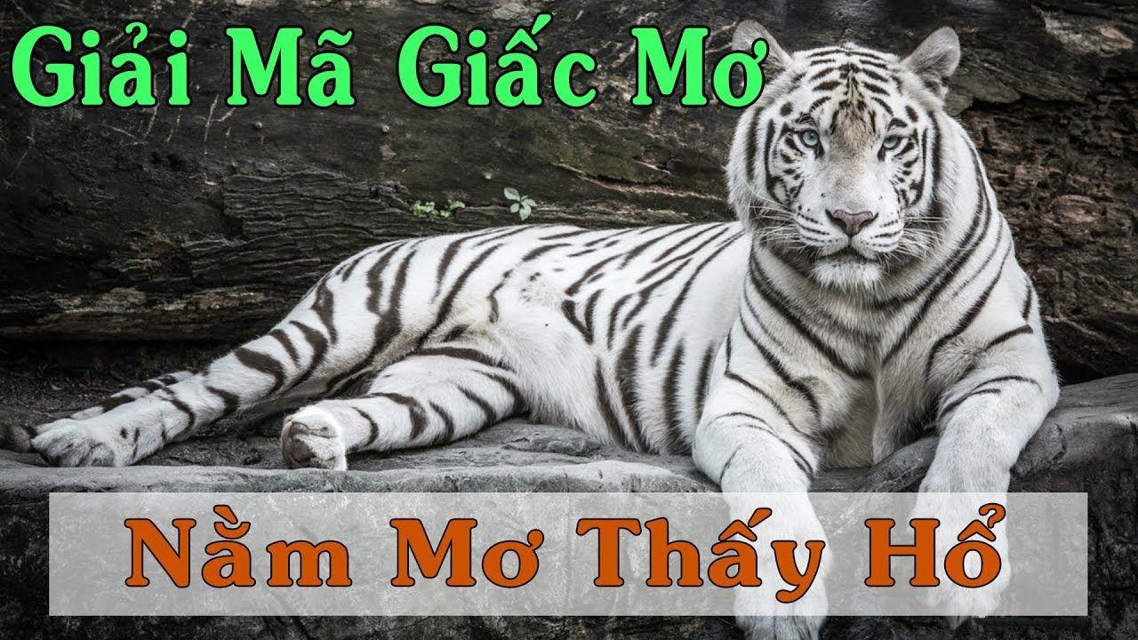 cwin06 xổ số miền trung