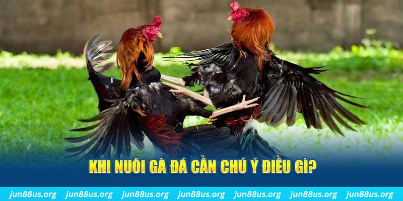 cwin06 ban ca vip online