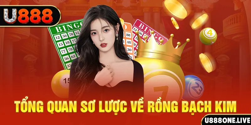 cwin06 how to win at slot machines