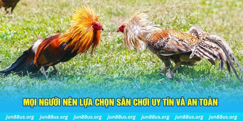 cwin06 hơn cả bạn bè