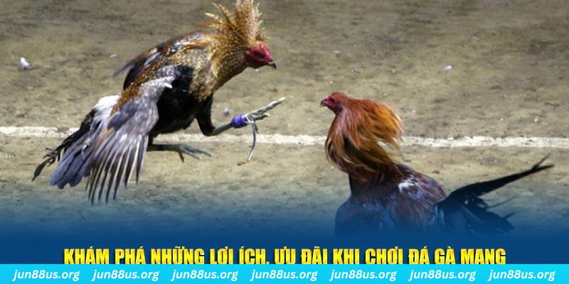 cwin06 Tài Xỉu 2