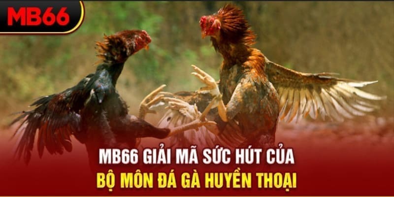 cwin06 long bảo trong baccarat là gì