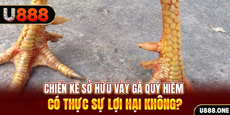 cwin06 game cá cược máy bay