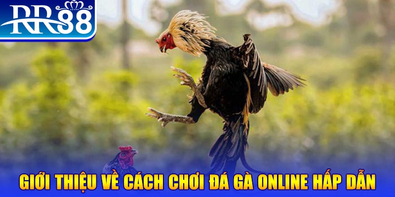 cwin06 nổ hũ 2 mặt là gì