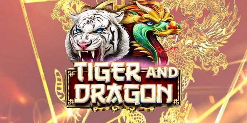 cwin06 cá cược tiếng anh là gì