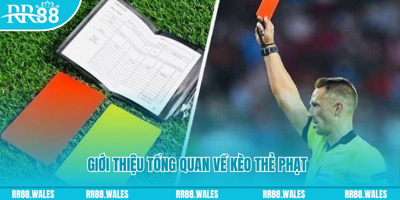 cwin06 đá gà trực tiếp c1